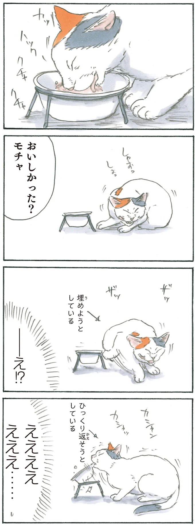 『拾い猫のモチャ6』より