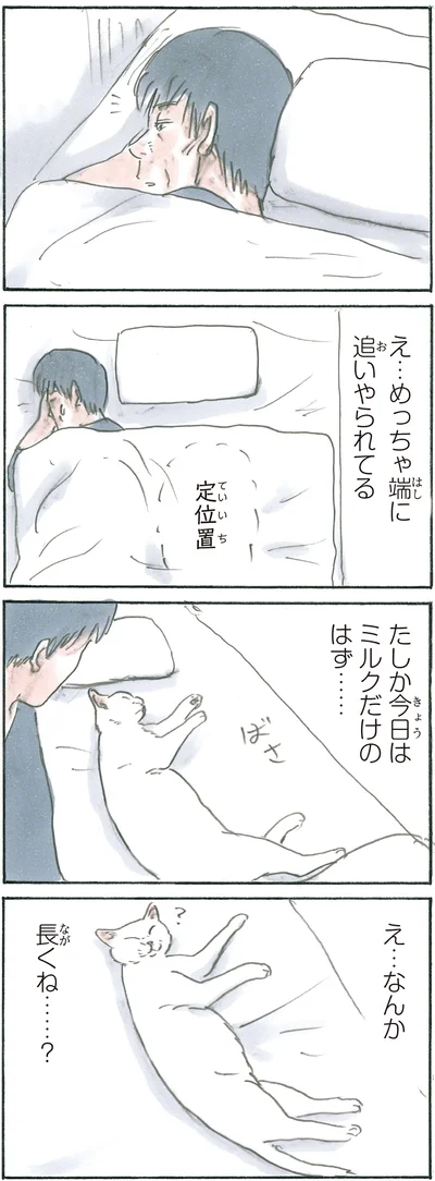 『拾い猫のモチャ6』より