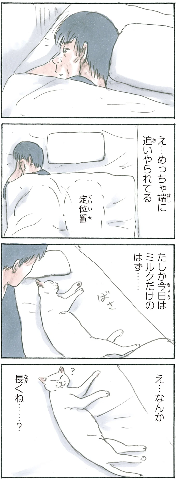 『拾い猫のモチャ6』より