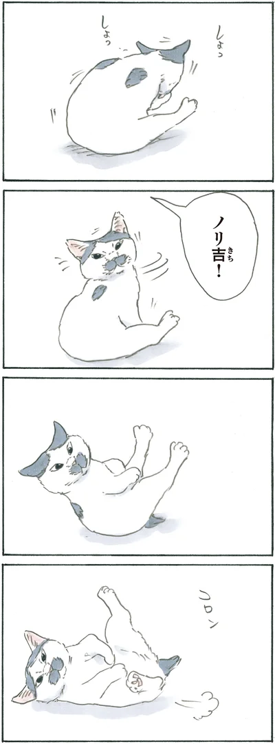 『拾い猫のモチャ6』より