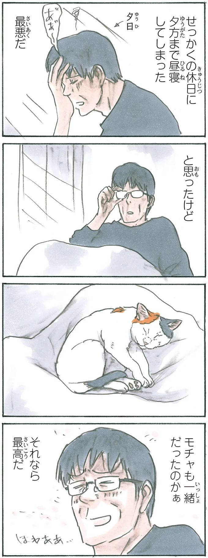 『拾い猫のモチャ6』より