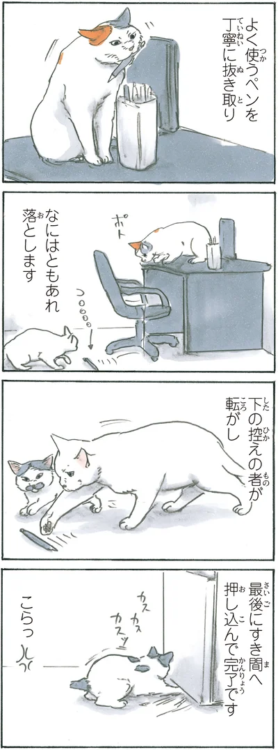 『拾い猫のモチャ6』より