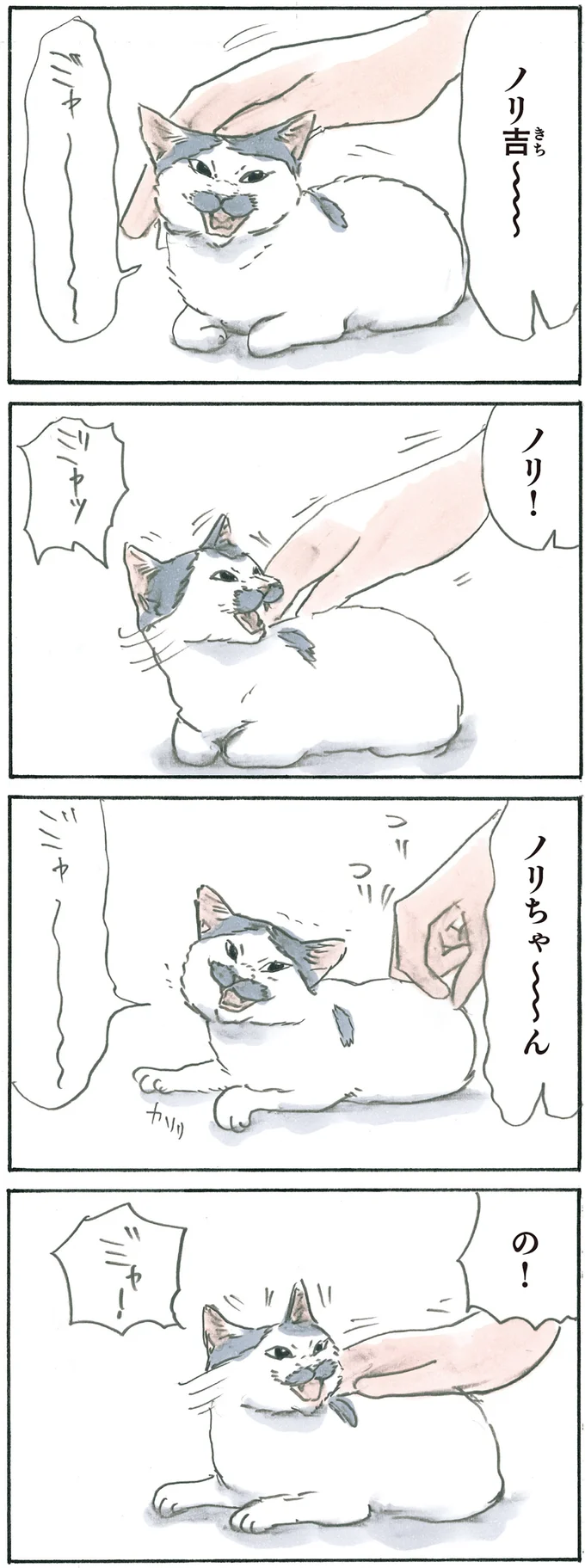 『拾い猫のモチャ6』より