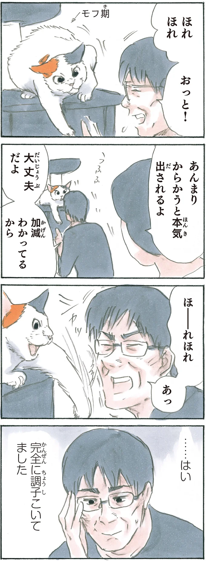 『拾い猫のモチャ6』より