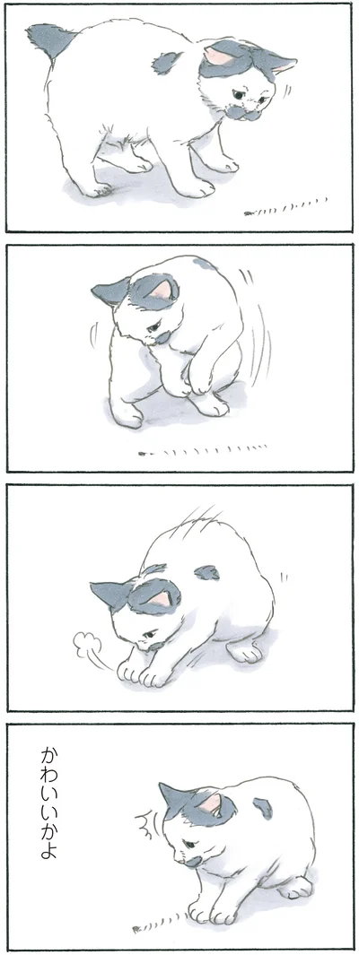 『拾い猫のモチャ6』より