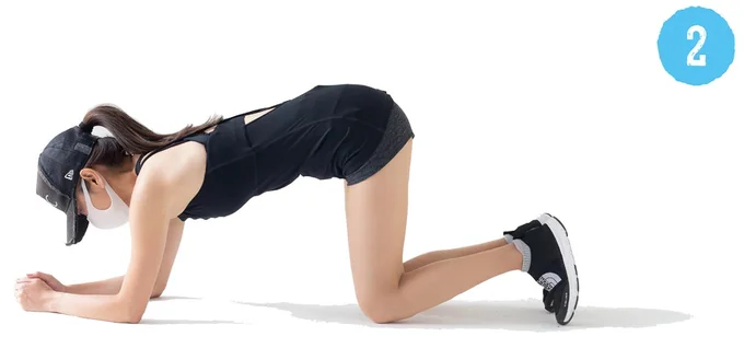 肘をついて四つん這いになります