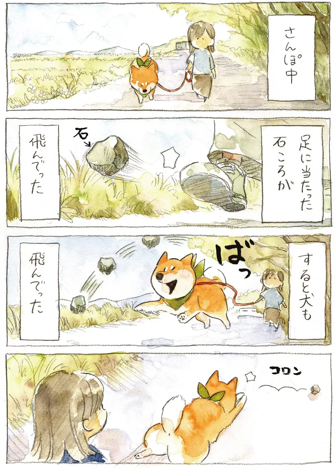『柴犬ぽんちゃん、今日もわが道を行く2』より