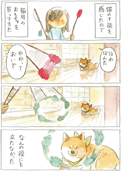 『柴犬ぽんちゃん、今日もわが道を行く2』より
