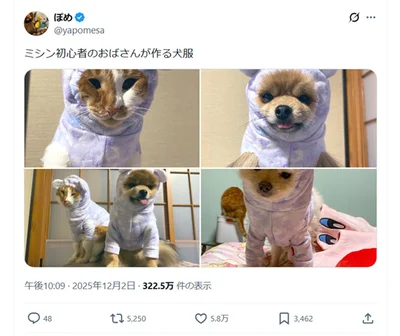 話題になった「ミシン初心者のおばさんが作る犬服」のポスト▶暖かそうな服ですが着ているこの顔を見ると…（⇒次へ）