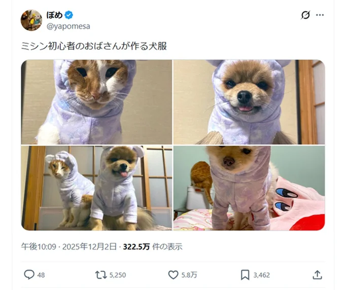 話題になった「ミシン初心者のおばさんが作る犬服」のポスト▶暖かそうな服ですが着ているこの顔を見ると…（⇒次へ）
