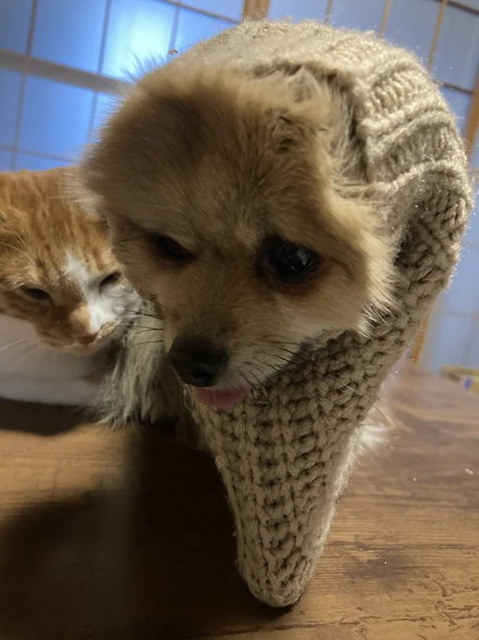 やっぱりむぎゅっとなっている？▶着心地良さそうな試着姿も（⇒次へ）