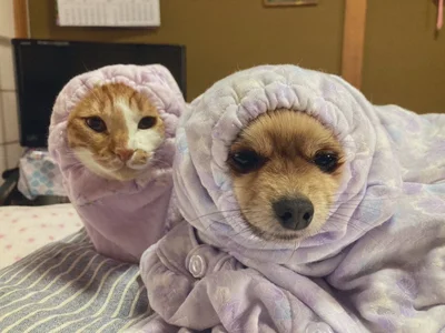 亡くなったお祖母さまのパジャマで作ったのだそう！▶袖口から顔がちょこんと出る様子が可愛い！（⇒次へ）