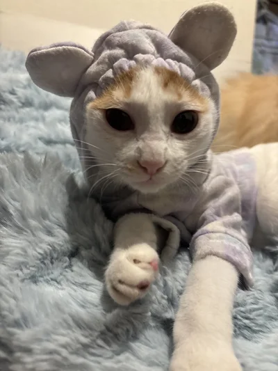 みっけちゃんはお顔がしっかり出ます▶楽しそうな様子が伝わってきます（⇒次へ）