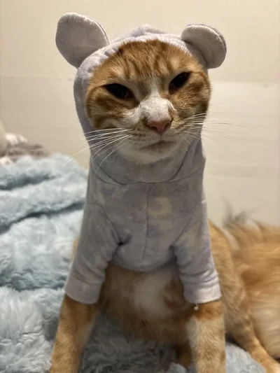 オーラが凄いちまくん▶嫌がる様子はないようです（⇒次へ）