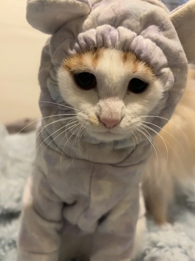 小顔のみっけちゃんは余裕あり▶表情もむぎゅっとしていません（⇒次へ）