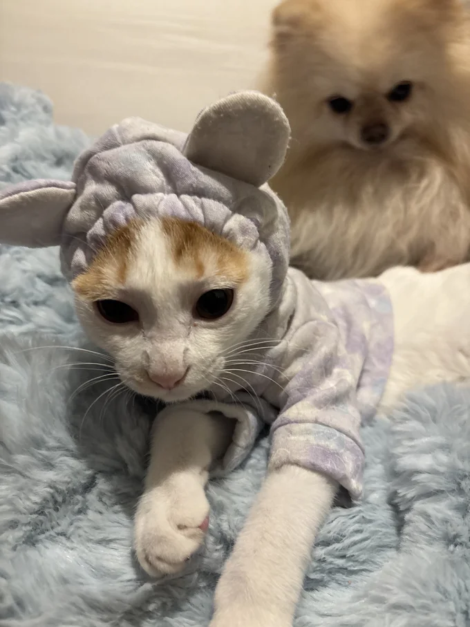 おてても余裕あり！▶みっけちゃんのウインク！（⇒次へ）