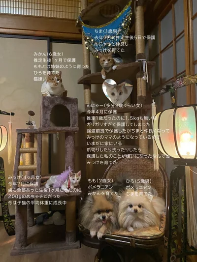 メンバー紹介▶おそろいの服で全員集合！（⇒次へ）