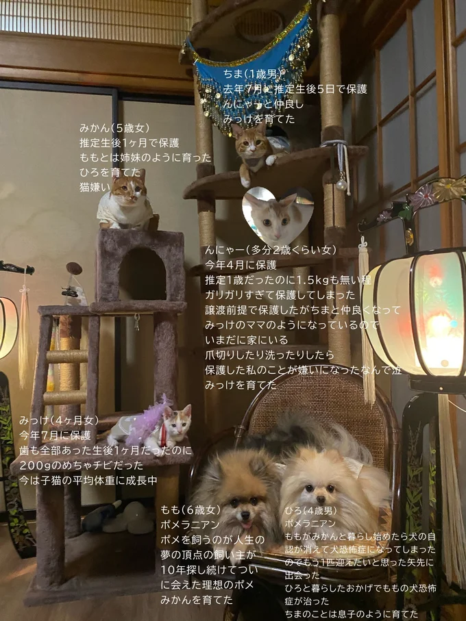 メンバー紹介▶おそろいの服で全員集合！（⇒次へ）