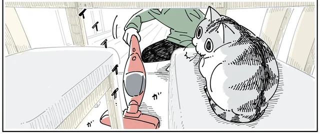 怖がっているのに逃げないのはなぜ？ 掃除機をかけているときの猫の不思議
