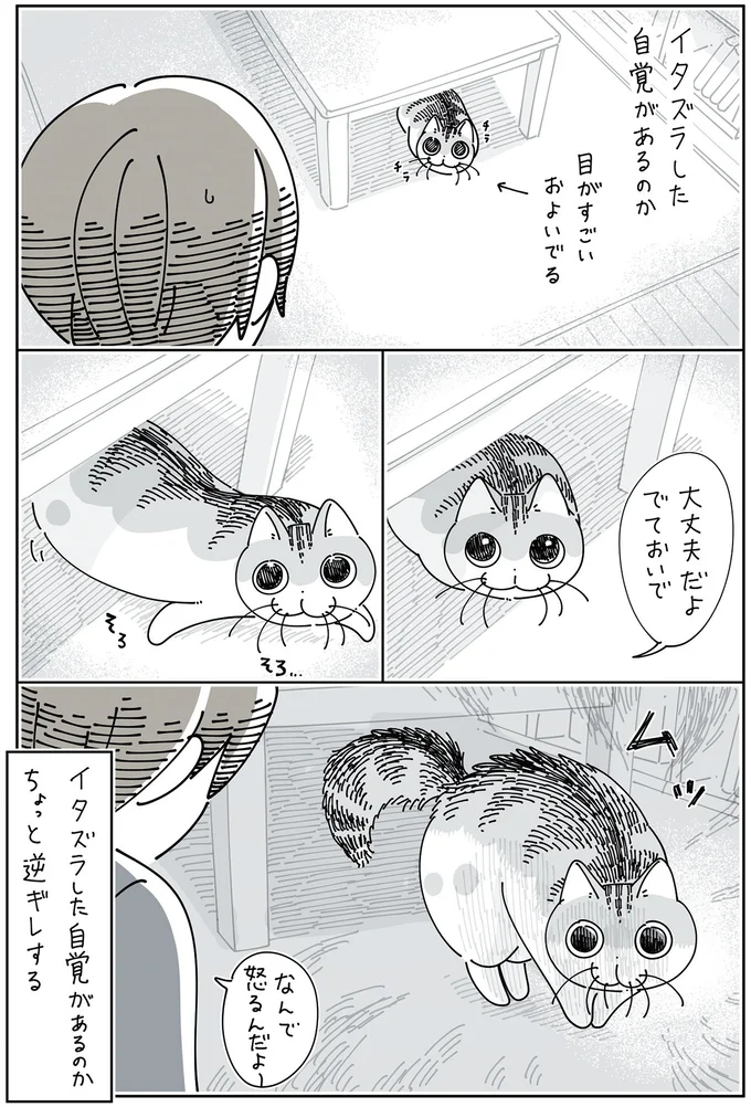 ちょっと逆ギレ