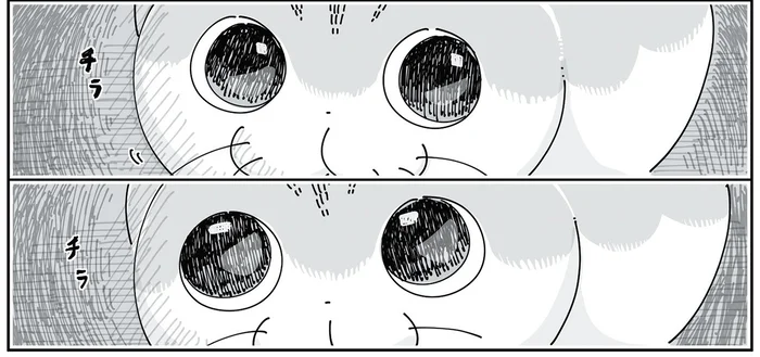 突然の大きな音！ 猫が物を落としたと察して向かうと、なんだか目が泳いでいて