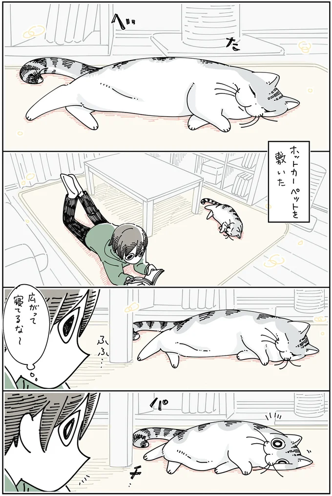 ホットカーペットを敷いた