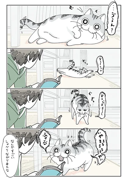 すごい喋りながらくる