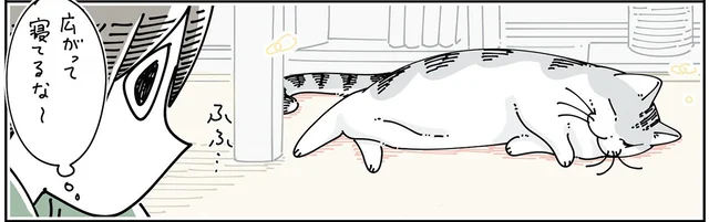 ホットカーペットを敷いた日。溶けるように広がって寝ている猫の不思議なさわり心地