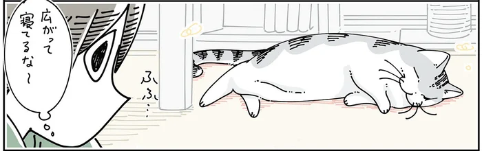 ホットカーペットを敷いた日。溶けるように広がって寝ている猫の不思議なさわり心地