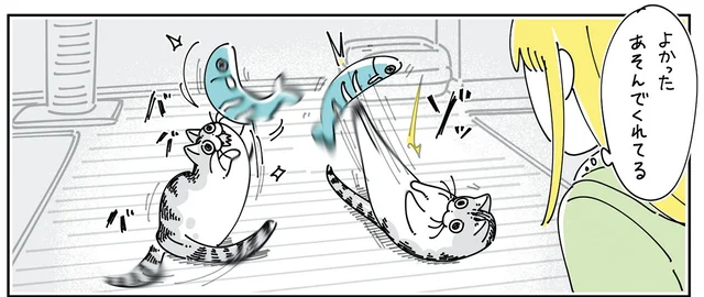 新しいおもちゃで激しく遊んでいる！ 良かった～と思っていたらまさかの展開