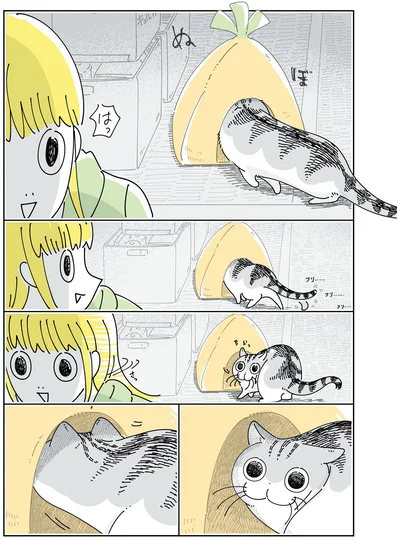 片付けようとしたのに