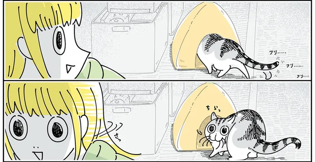 「奥の方にしまっちゃおうかな」数カ月前に買った猫用のベッドの行方は