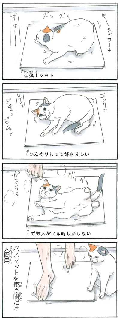 猫はお風呂で戯れる