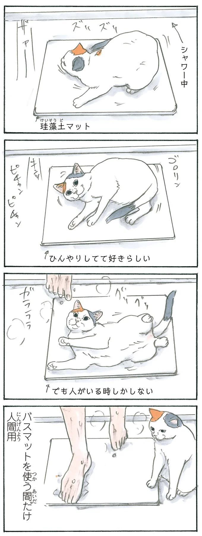 猫はお風呂で戯れる