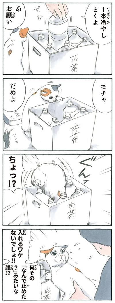 とりあえず入ってみる