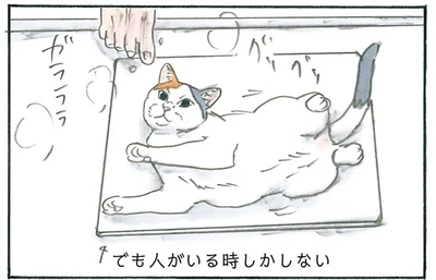 珪藻土マットに横たわる