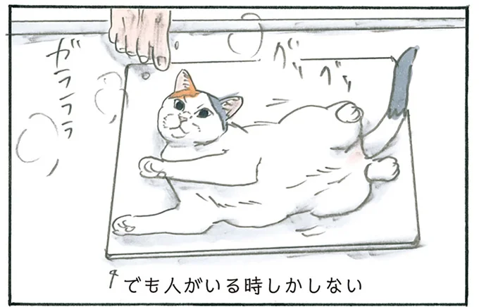 珪藻土マットに横たわる