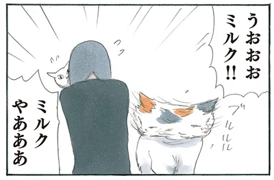 猫を抱きしめて号泣