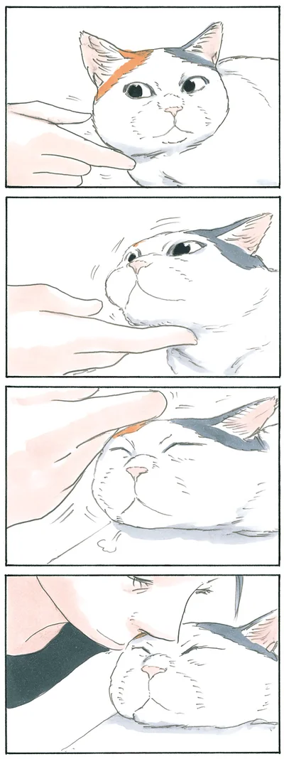 でこチューまでの流れ