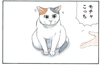 名前を呼ばれて