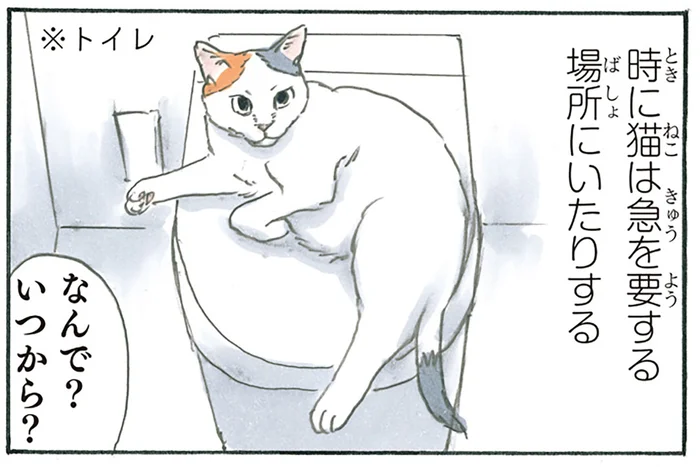 いつからいたの？ 思ってもみないところでくつろぐ猫が面白い