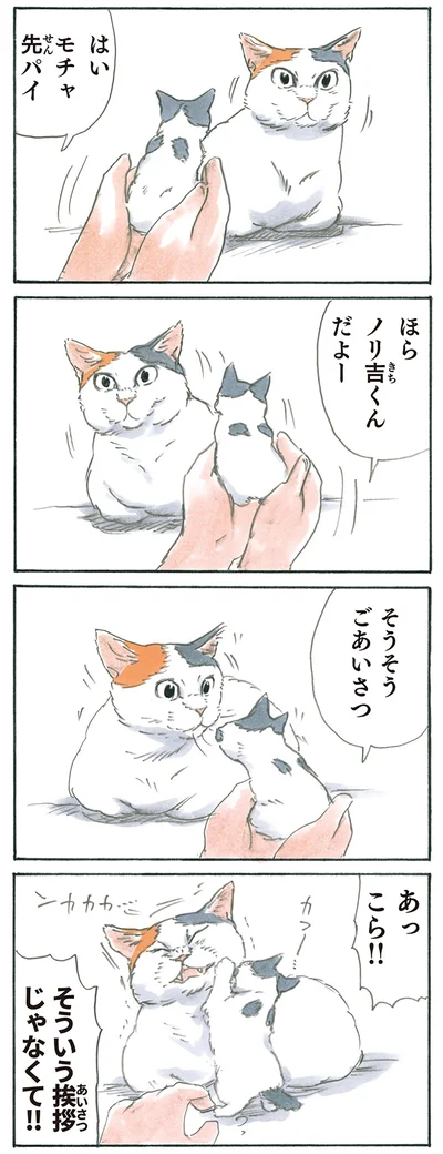 ごあいさつ