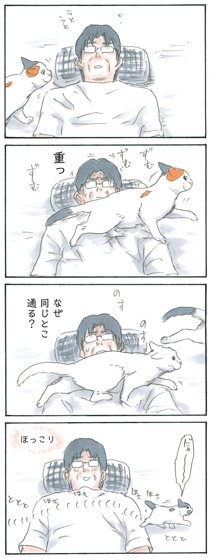 猫通ります