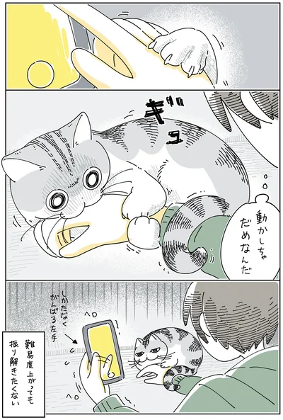 動かしちゃだめなんだ