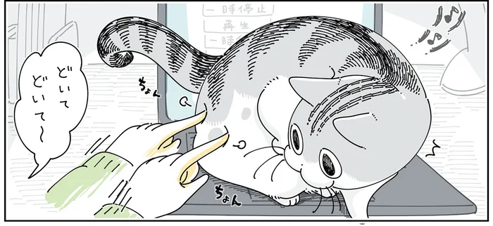 また何か押しちゃってる？ パソコンの上にいる猫をどかすための様々なやりかた