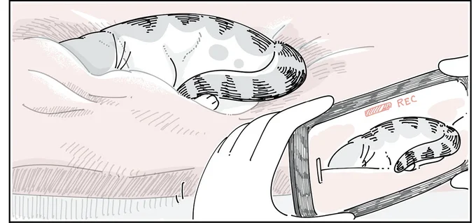 そっと近づいて…