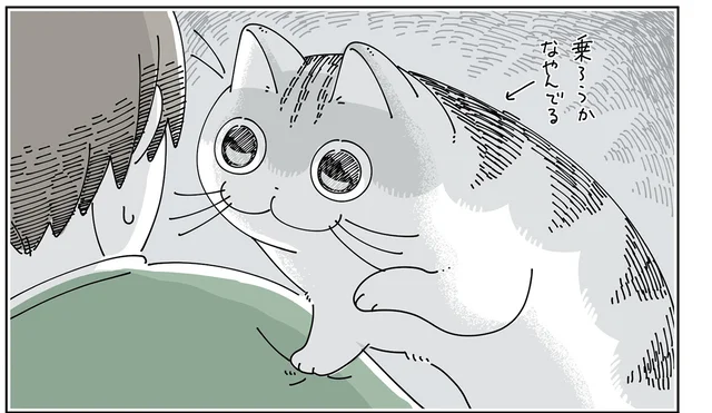 飼い主の肩に乗ろうとして悩む猫。そわそわしてるのはこっちも同じです