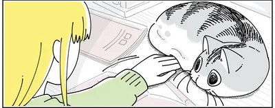 手を差し込んでみると…