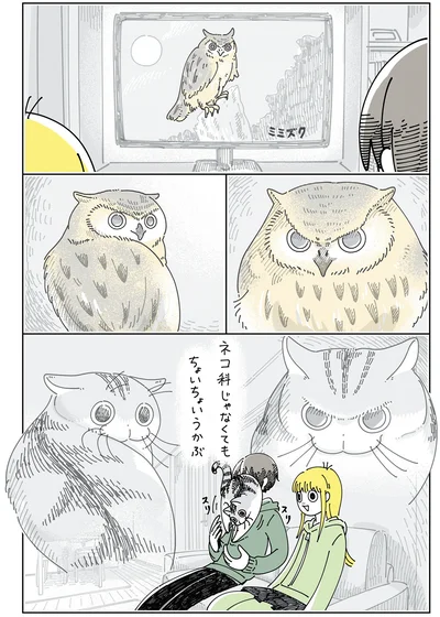フクロウを見ていると