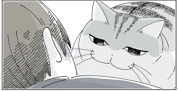 文句がある顔？ 慈愛の表情？ 体調の悪い飼い主のもとへ来た猫の話